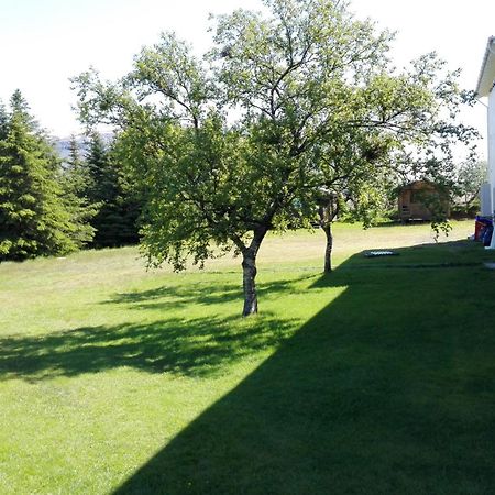 Hotel Stadarborg Breiddalsvik Экстерьер фото